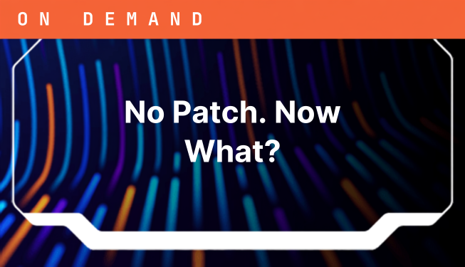 What Happens When the Vulnerability Is Found Before the Patch Exists?